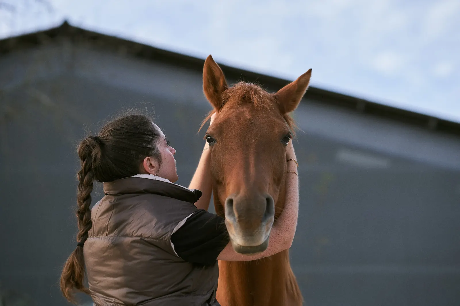 Massage bien-être d'un cheval en écurie en Gironde